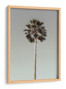 Serenidad de árboles tropicales - Fluidys Studio III | Cuadro decorativo de Canvas Lab