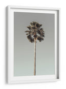 Serenidad de árboles tropicales - Fluidys Studio III | Cuadro decorativo de Canvas Lab