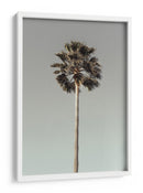 Serenidad de árboles tropicales - Fluidys Studio III | Cuadro decorativo de Canvas Lab