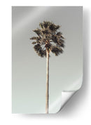 Serenidad de árboles tropicales - Fluidys Studio III | Cuadro decorativo de Canvas Lab
