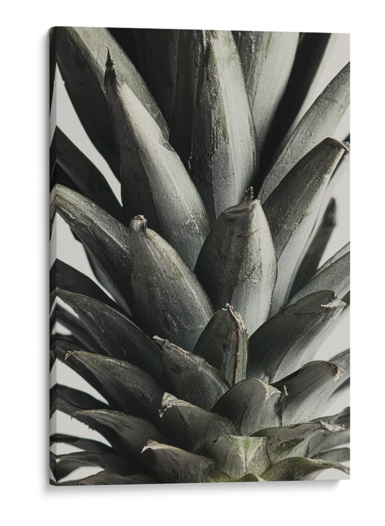 Textura exótica de piña - Fluidys Studio III | Cuadro decorativo de Canvas Lab