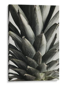Textura exótica de piña - Fluidys Studio III | Cuadro decorativo de Canvas Lab
