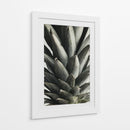 Textura exótica de piña - Fluidys Studio III | Cuadro decorativo de Canvas Lab