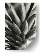 Textura exótica de piña - Fluidys Studio III | Cuadro decorativo de Canvas Lab