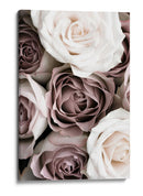 Rosas blancas y rosadas - Fluidys Studio III | Cuadro decorativo de Canvas Lab