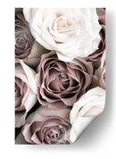 Rosas blancas y rosadas - Fluidys Studio III | Cuadro decorativo de Canvas Lab