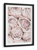 Rosas de color rosa suave - Fluidys Studio III | Cuadro decorativo de Canvas Lab