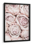 Rosas de color rosa suave - Fluidys Studio III | Cuadro decorativo de Canvas Lab