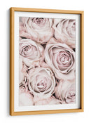 Rosas de color rosa suave - Fluidys Studio III | Cuadro decorativo de Canvas Lab