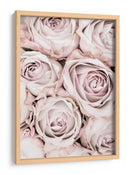 Rosas de color rosa suave - Fluidys Studio III | Cuadro decorativo de Canvas Lab