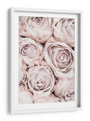 Rosas de color rosa suave - Fluidys Studio III | Cuadro decorativo de Canvas Lab