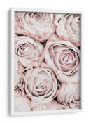 Rosas de color rosa suave - Fluidys Studio III | Cuadro decorativo de Canvas Lab