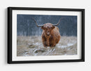 Vaca de las Tierras Altas nevadas - Richard Guijt | Cuadro decorativo de Canvas Lab