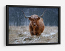 Vaca de las Tierras Altas nevadas - Richard Guijt | Cuadro decorativo de Canvas Lab