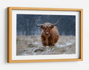 Vaca de las Tierras Altas nevadas - Richard Guijt | Cuadro decorativo de Canvas Lab