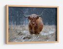 Vaca de las Tierras Altas nevadas - Richard Guijt | Cuadro decorativo de Canvas Lab
