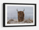 Vaca de las Tierras Altas en la nieve - Jaap van den | Cuadro decorativo de Canvas Lab
