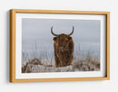Vaca de las Tierras Altas en la nieve - Jaap van den | Cuadro decorativo de Canvas Lab