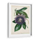 Flor De Pasión Plum - Paxton | Cuadro decorativo de Canvas Lab