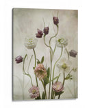 Suaves flores de primavera - Sharon Williams | Cuadro decorativo de Canvas Lab