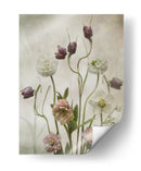 Suaves flores de primavera - Sharon Williams | Cuadro decorativo de Canvas Lab