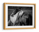 Vínculo con el caballo gentil - Niko Chapa | Cuadro decorativo de Canvas Lab