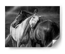 Vínculo con el caballo gentil - Niko Chapa | Cuadro decorativo de Canvas Lab