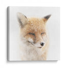 Zorro invernal sereno - Doris Reindl | Cuadro decorativo de Canvas Lab
