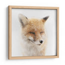 Zorro invernal sereno - Doris Reindl | Cuadro decorativo de Canvas Lab