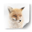 Zorro invernal sereno - Doris Reindl | Cuadro decorativo de Canvas Lab