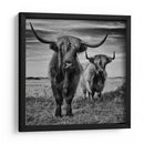 Tierras Altas de Escocia - Stephane Pecqueux | Cuadro decorativo de Canvas Lab