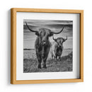 Tierras Altas de Escocia - Stephane Pecqueux | Cuadro decorativo de Canvas Lab