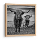 Tierras Altas de Escocia - Stephane Pecqueux | Cuadro decorativo de Canvas Lab