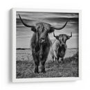 Tierras Altas de Escocia - Stephane Pecqueux | Cuadro decorativo de Canvas Lab