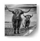 Tierras Altas de Escocia - Stephane Pecqueux | Cuadro decorativo de Canvas Lab