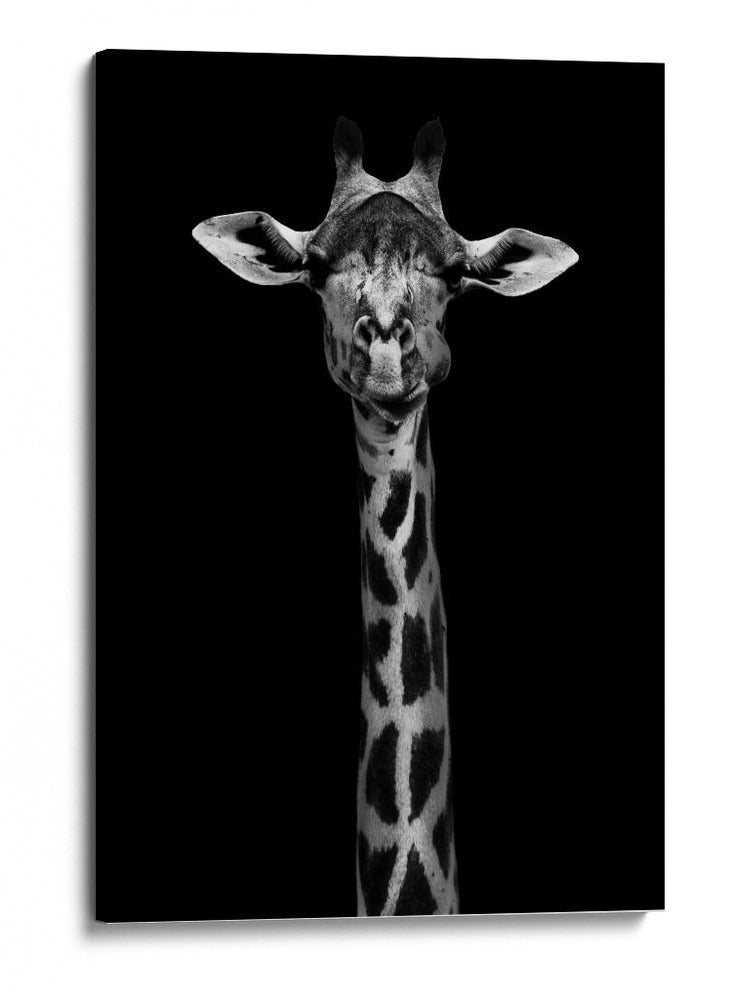 Retrato simétrico elegante de jirafa - WildPhotoArt | Cuadro decorativo de Canvas Lab