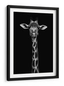 Retrato simétrico elegante de jirafa - WildPhotoArt | Cuadro decorativo de Canvas Lab