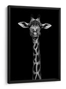 Retrato simétrico elegante de jirafa - WildPhotoArt | Cuadro decorativo de Canvas Lab