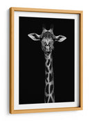 Retrato simétrico elegante de jirafa - WildPhotoArt | Cuadro decorativo de Canvas Lab
