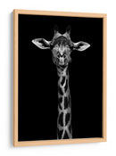 Retrato simétrico elegante de jirafa - WildPhotoArt | Cuadro decorativo de Canvas Lab