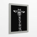 Cuadro decorativo de Canvas Lab