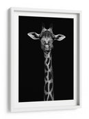 Retrato simétrico elegante de jirafa - WildPhotoArt | Cuadro decorativo de Canvas Lab