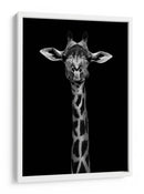 Retrato simétrico elegante de jirafa - WildPhotoArt | Cuadro decorativo de Canvas Lab