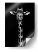 Retrato simétrico elegante de jirafa - WildPhotoArt | Cuadro decorativo de Canvas Lab