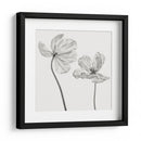Tulipanes monocromáticos elegantes - Lotte Gronkjar | Cuadro decorativo de Canvas Lab