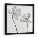 Tulipanes monocromáticos elegantes - Lotte Gronkjar | Cuadro decorativo de Canvas Lab