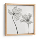 Tulipanes monocromáticos elegantes - Lotte Gronkjar | Cuadro decorativo de Canvas Lab