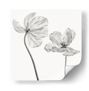Tulipanes monocromáticos elegantes - Lotte Gronkjar | Cuadro decorativo de Canvas Lab