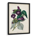 Plum Foxtloves - Paxton | Cuadro decorativo de Canvas Lab