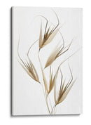 Susurros de hierba seca - Thierry Lagandre (Transgressed | Cuadro decorativo de Canvas Lab